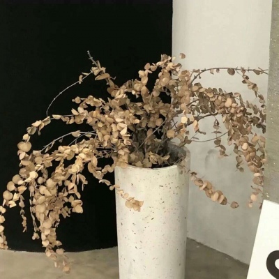 Furry绘画细节技巧Furry群